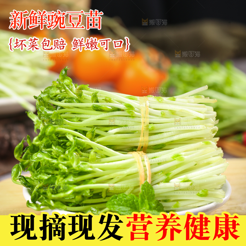 木板上放着豌豆芽