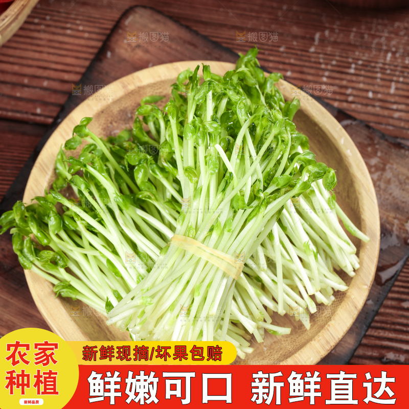 篮子里装着豆苗菜