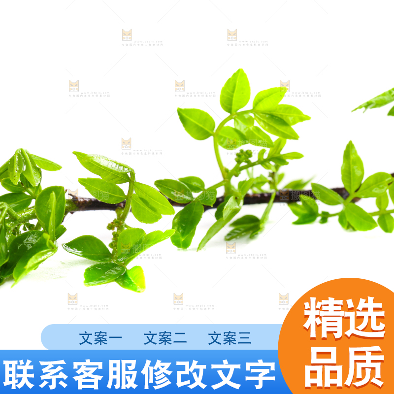 白底上放着花椒芽
