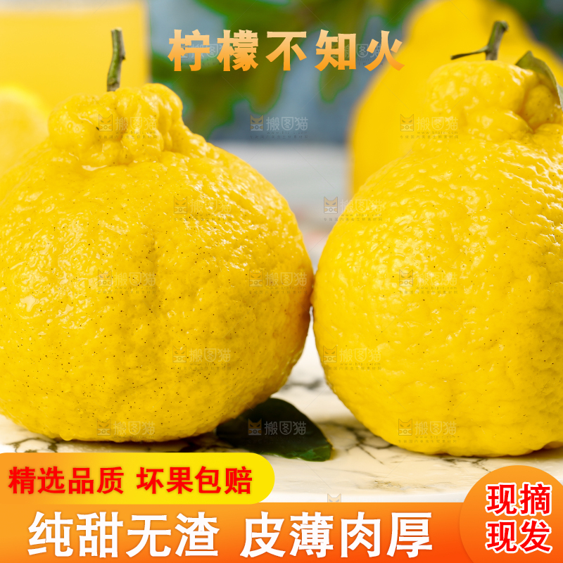 盘子里装着柠檬丑橘