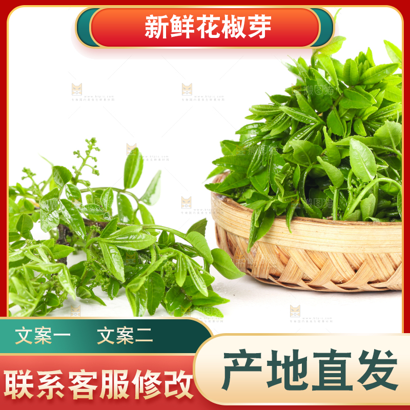 一筐野生花椒芽放在白底上