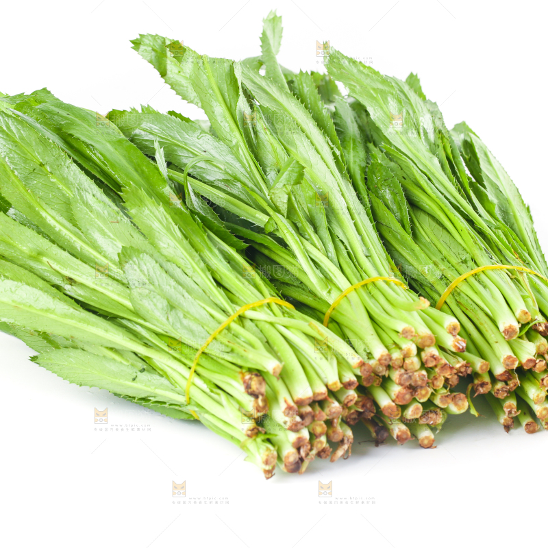白底上的大香菜