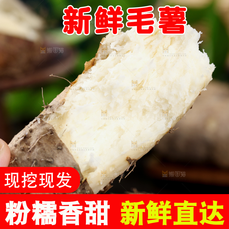 深底上放着熟的广东毛薯