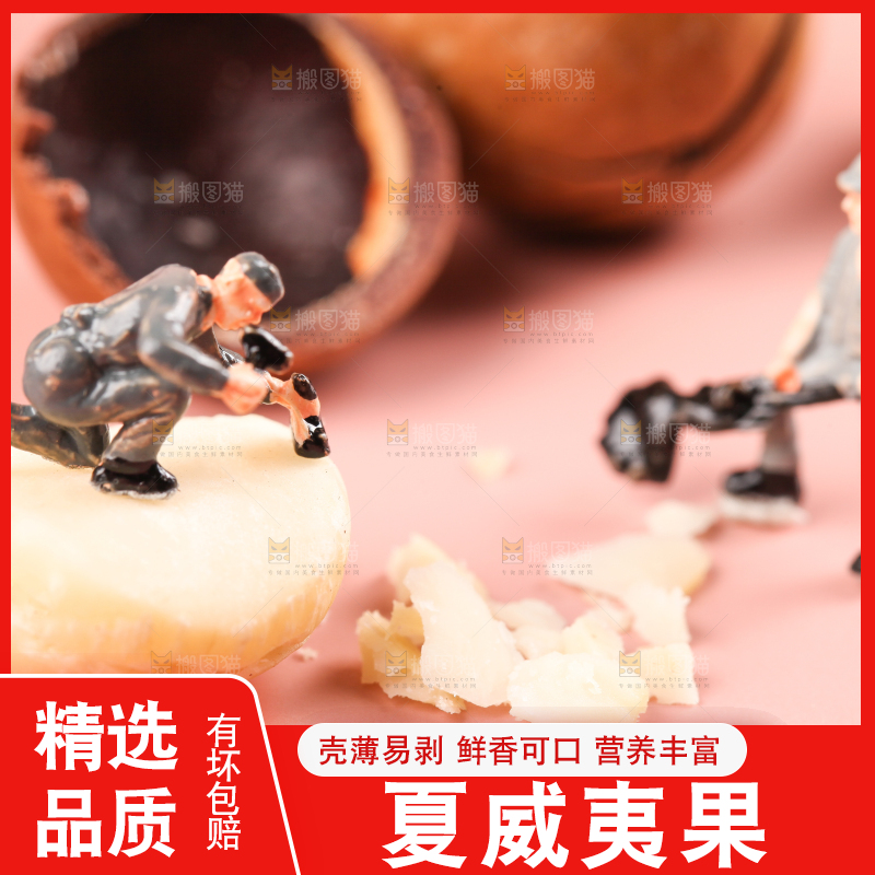 浅底上的夏威夷果