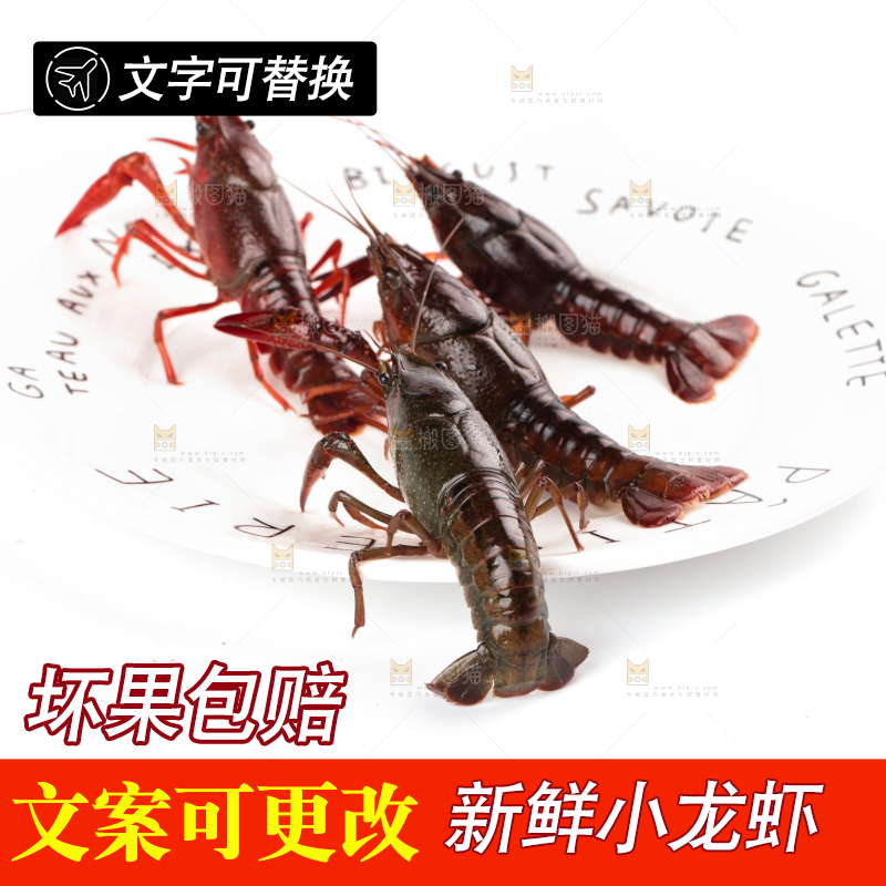 盘子里的鲜活龙虾