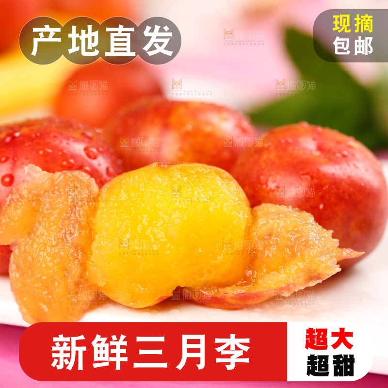 白石板上摆放着钱排三月李
