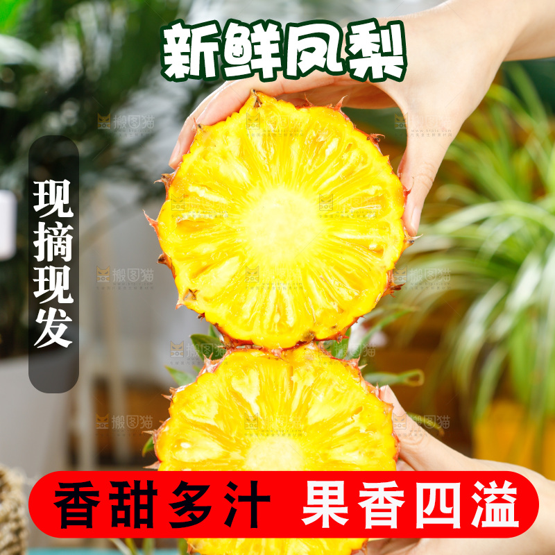 手里拿着新鲜凤梨