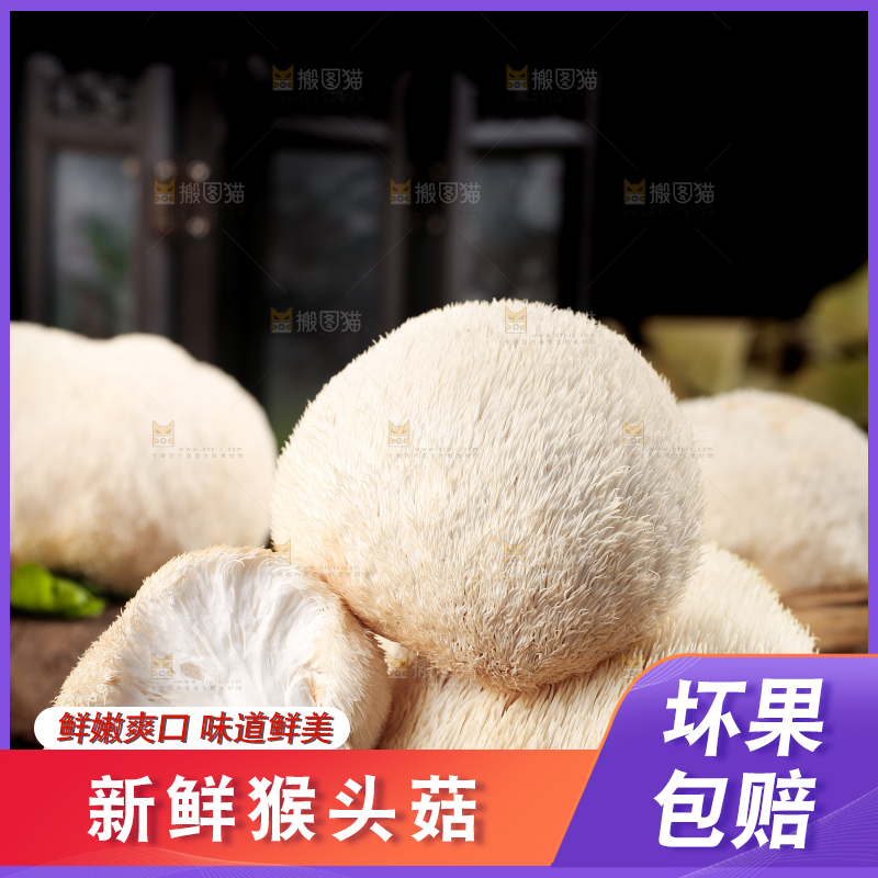 竹底上的云南新鲜猴头菇