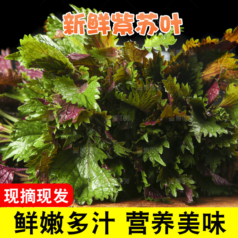 木底上的紫苏叶