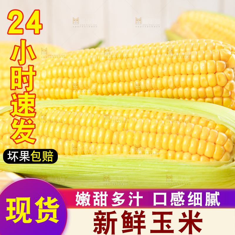 盘子里装着东北玉米