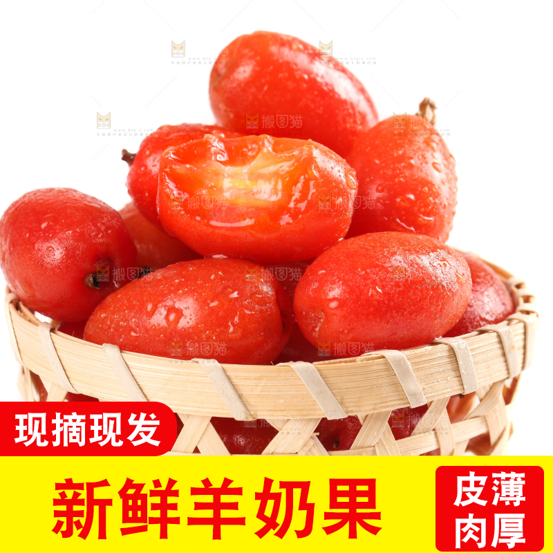 一筐临沧甜羊奶果放在白底上