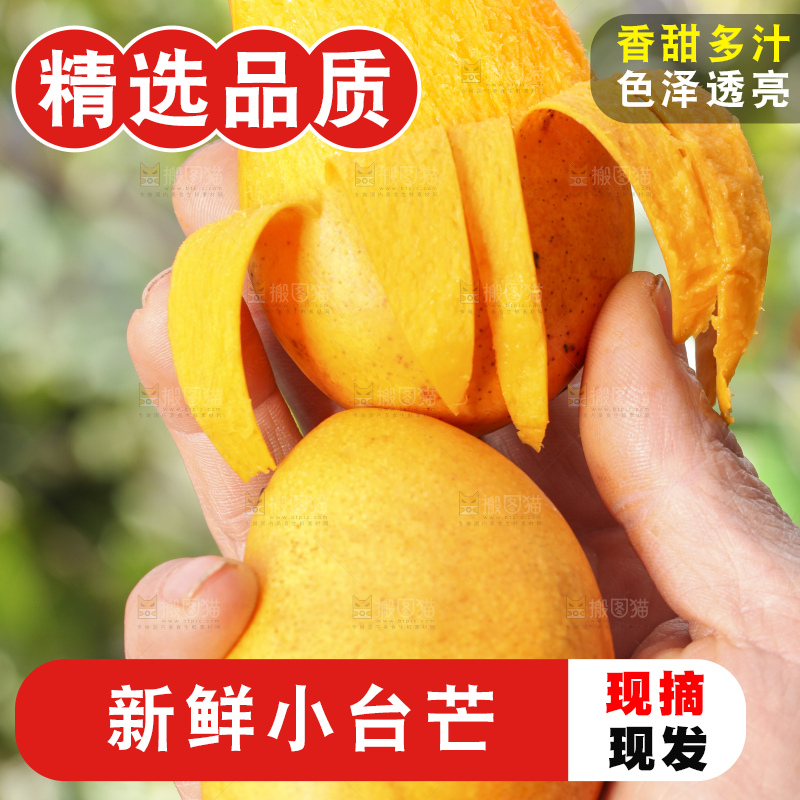 手拿剥皮的海南小台农芒果