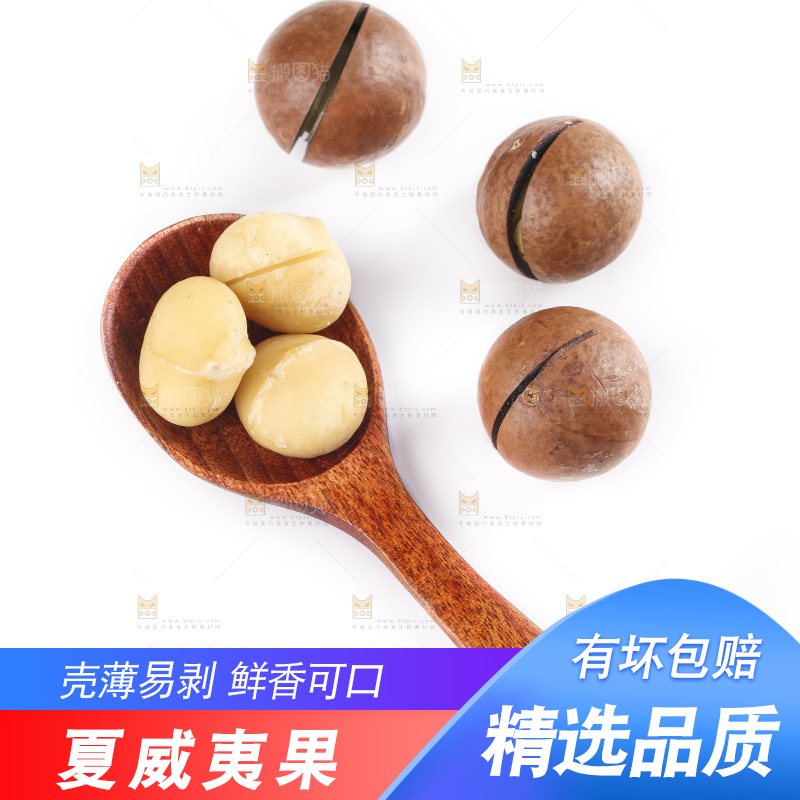 勺子里的夏威夷果
