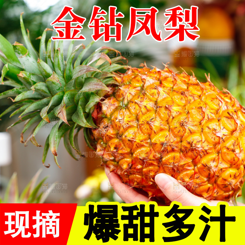 手里拿着新鲜凤梨