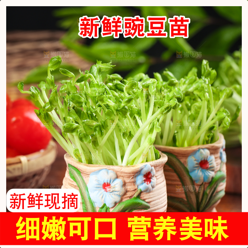 木板上放着豌豆芽
