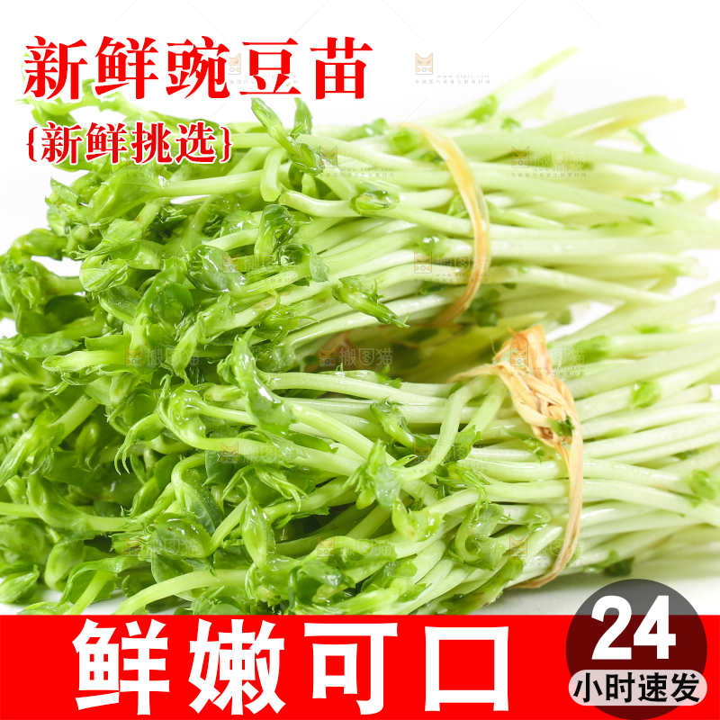 白底上放着豌豆芽菜