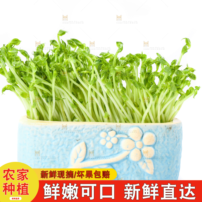 白底上放着豌豆芽菜