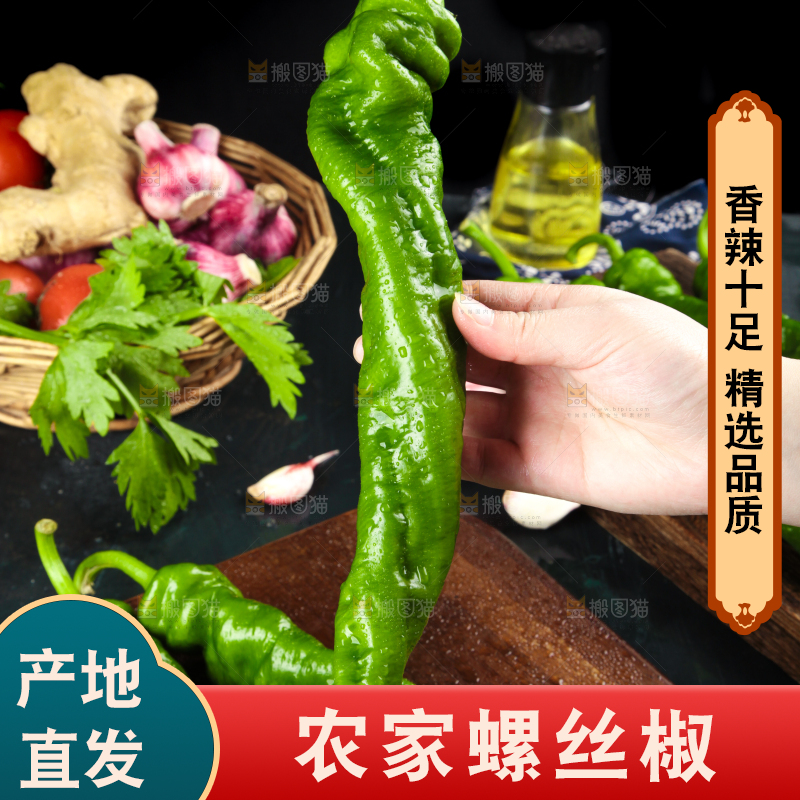 手里拿着新鲜螺丝椒