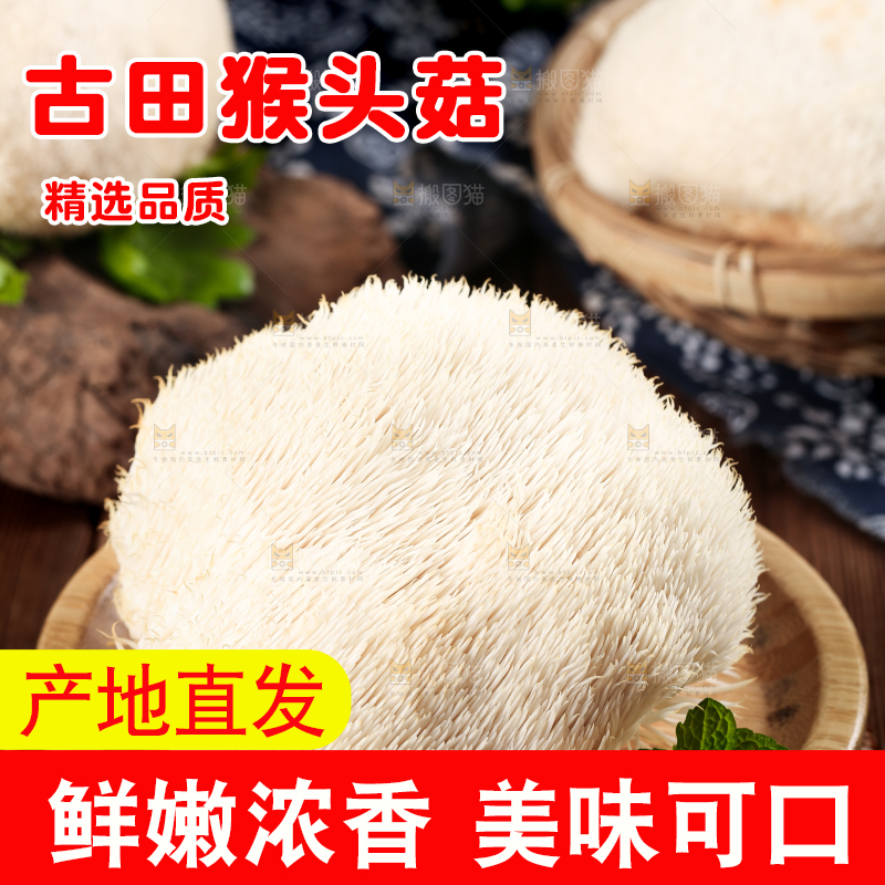竹底上的云南新鲜猴头菇