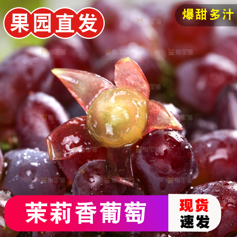 深底上的郁金香葡萄