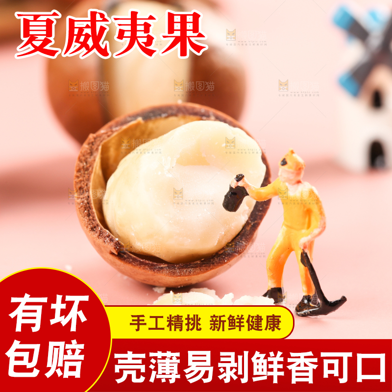 浅底上的夏威夷果