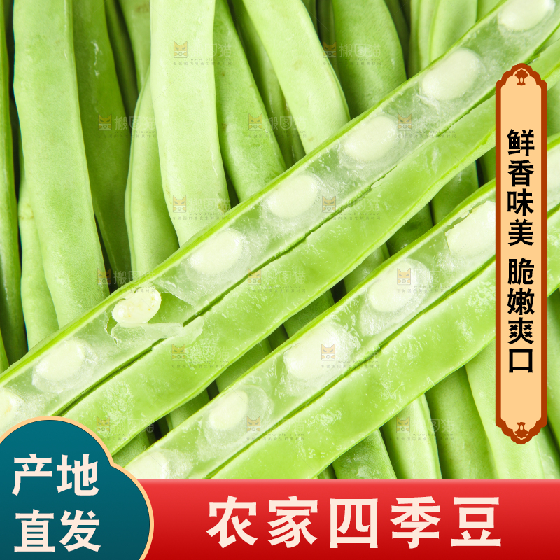白底上的新鲜四季豆