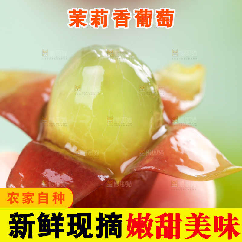 手里拿着茉莉香葡萄