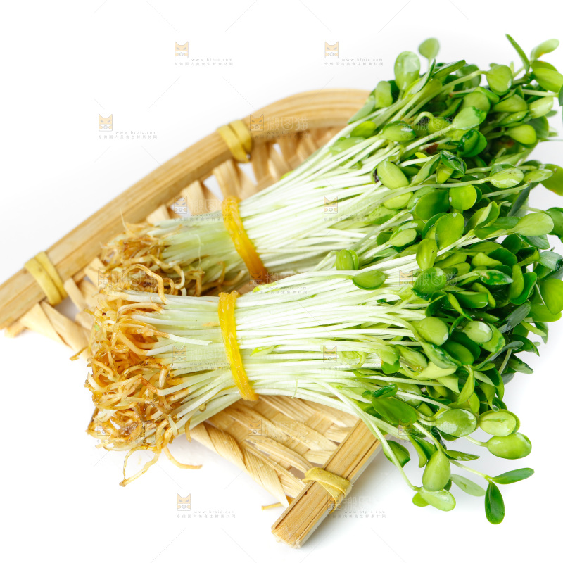 白底上的香椿芽