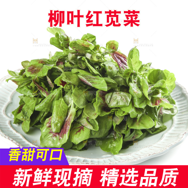 白底上放着一盘红苋菜