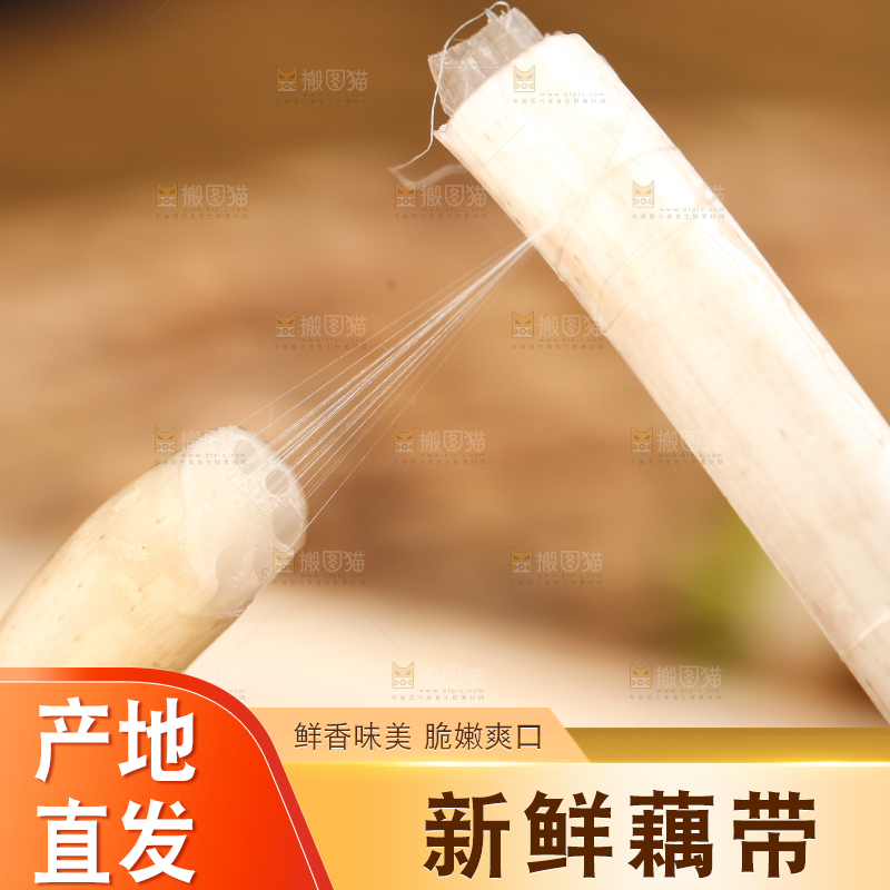 手里拿着藕苗