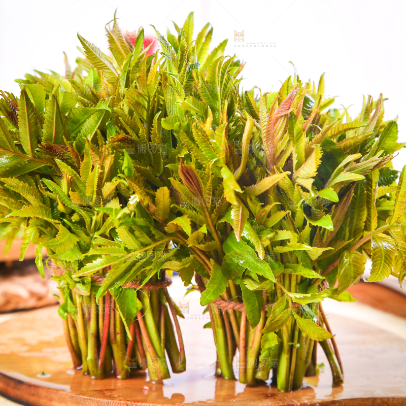 木板上放着新鲜香椿