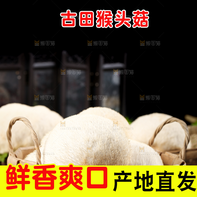 篮子里装着云南新鲜猴头菇
