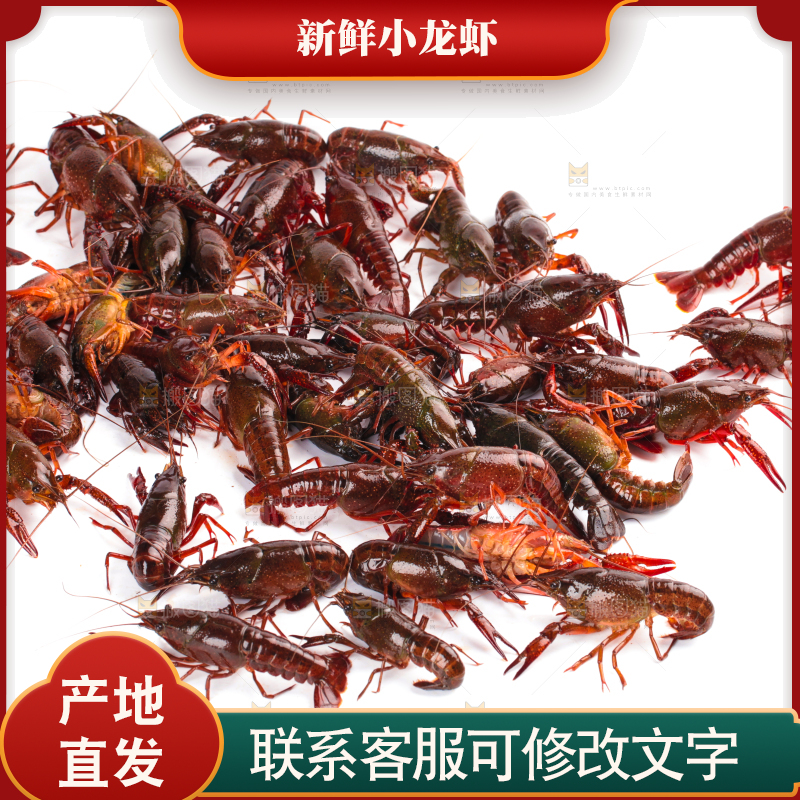 白底上放着潜江小龙虾