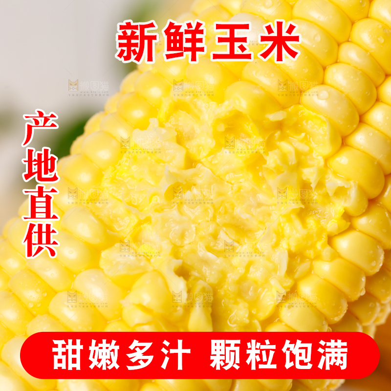 浅底上的黄玉米