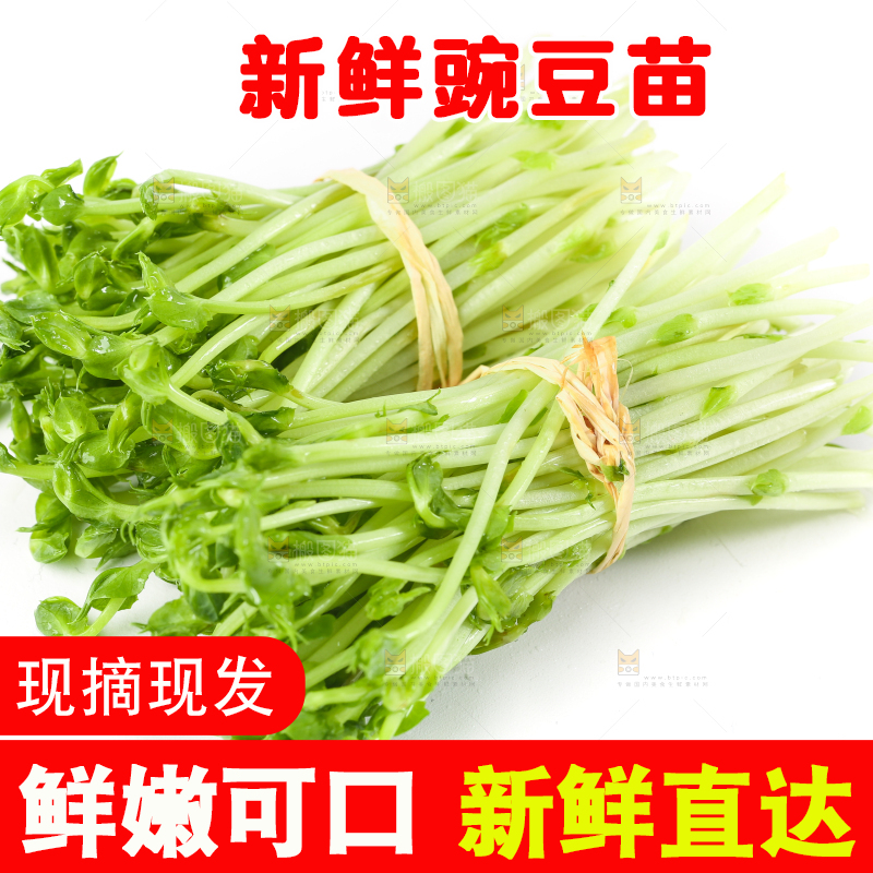 白底上放着豌豆芽菜