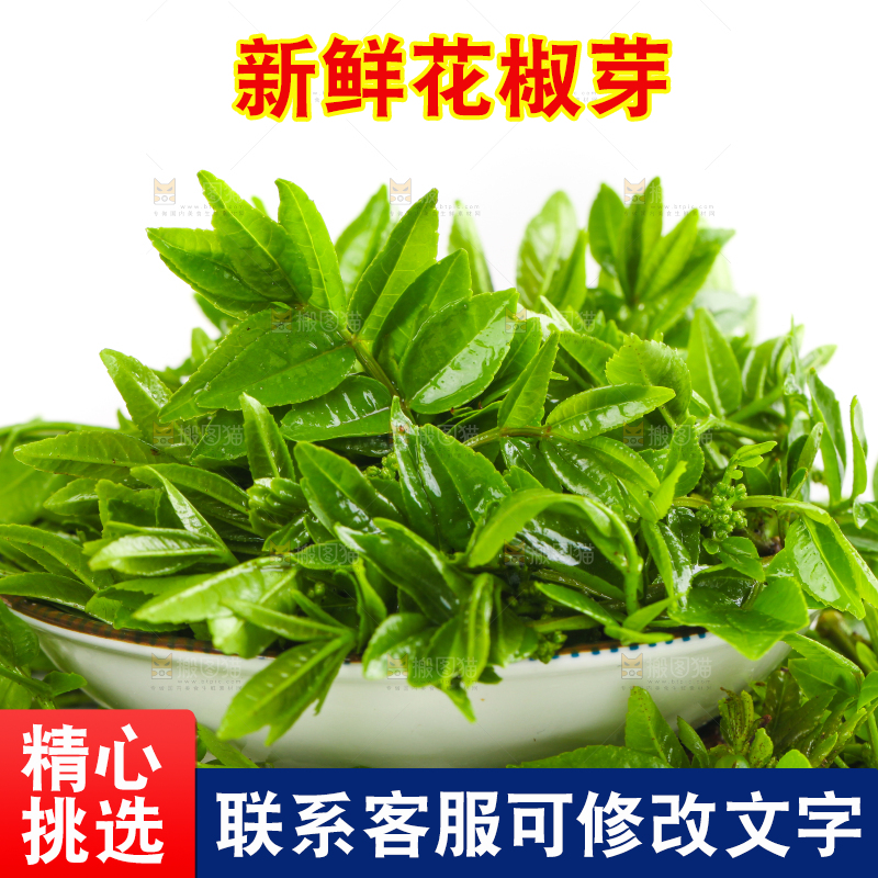 一碗花椒叶放在白底上