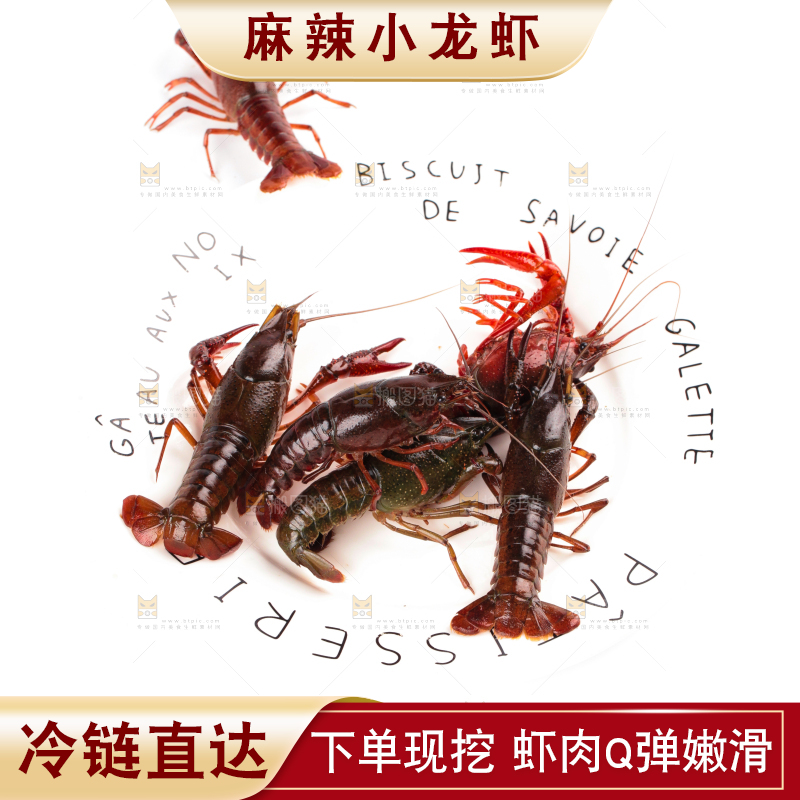 盘子里的鲜活龙虾