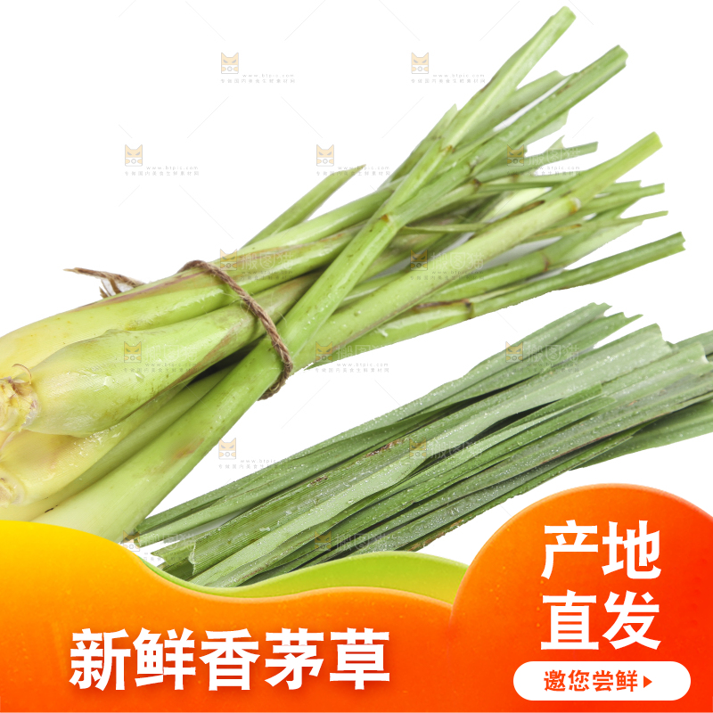 白底上的泰国香茅草