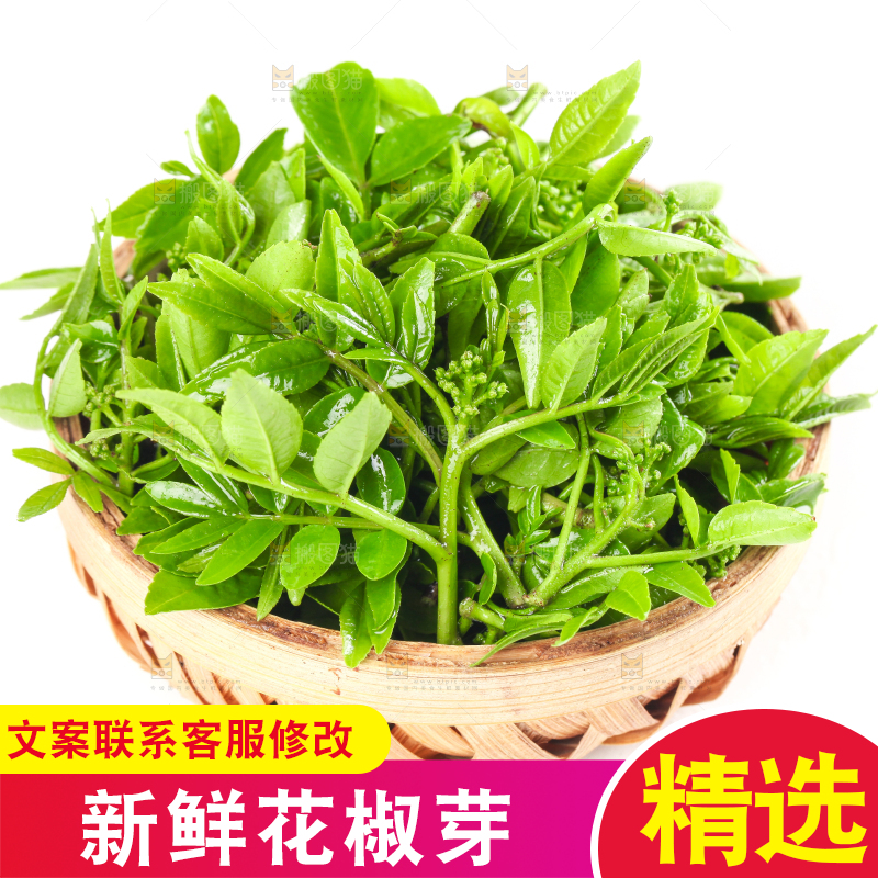一筐野生花椒芽放在白底上