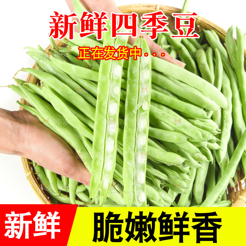 手里拿着鲜嫩四季豆