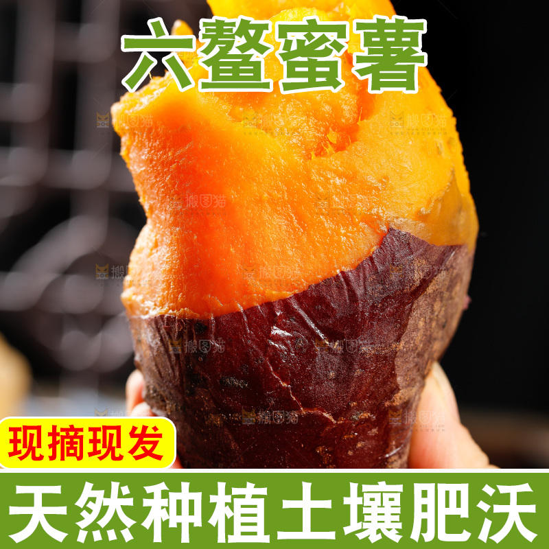 深底上的福建六鳌蜜薯
