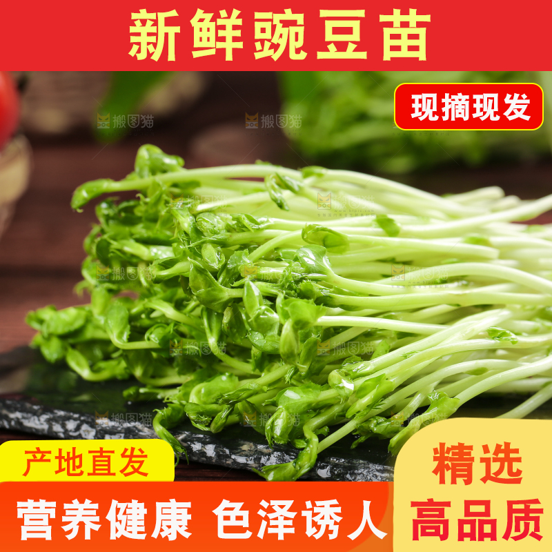 黑石板上的豌豆芽苗菜