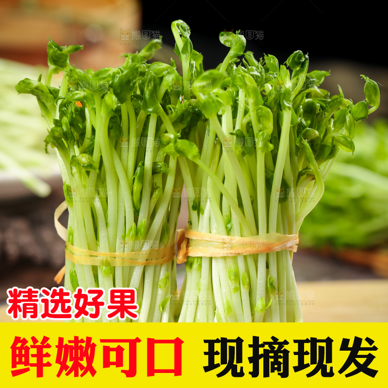 木板上放着豌豆芽