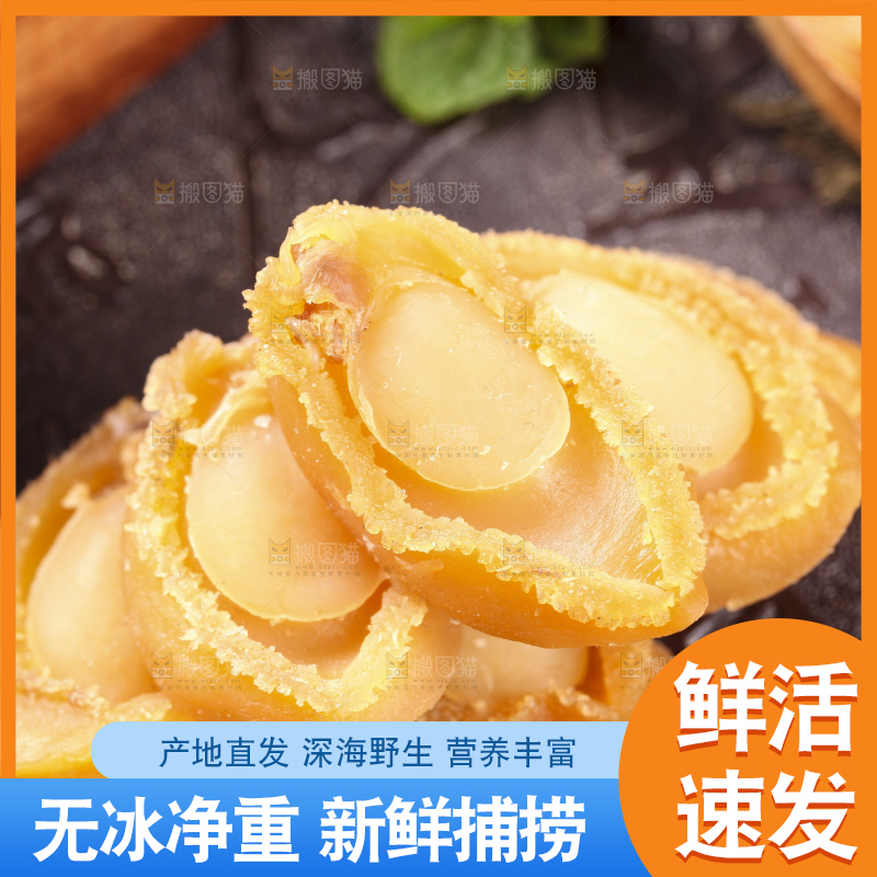 深底上放着大连鲍鱼干