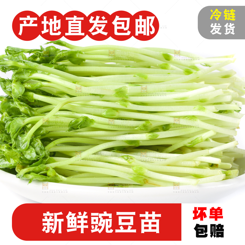 盘子里装着新鲜豌豆芽