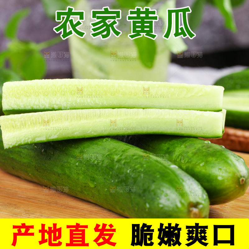 木板上放着无刺小黄瓜