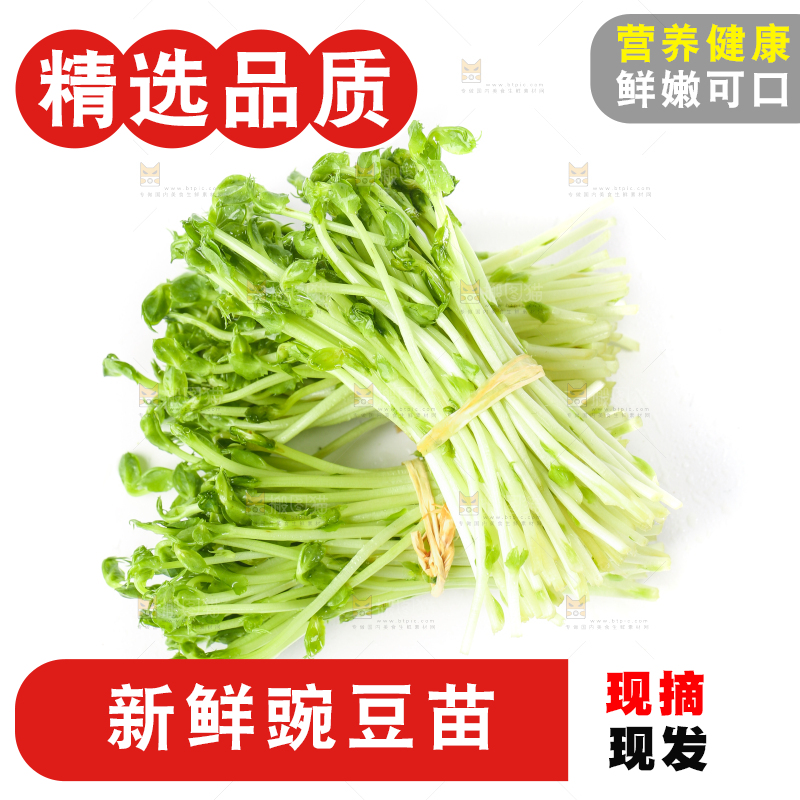 白底上放着豌豆芽菜