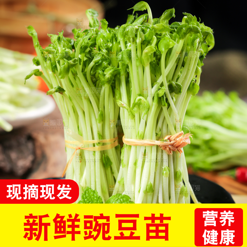 木板上放着豌豆芽