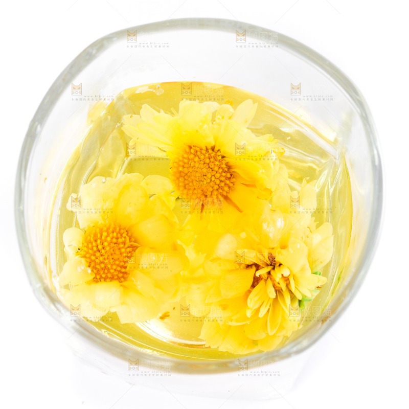 一杯菊花茶放在白底上