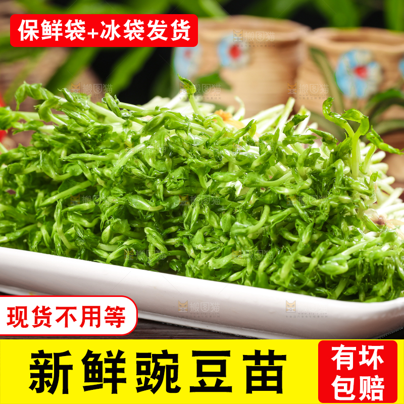 木板上放着豌豆芽